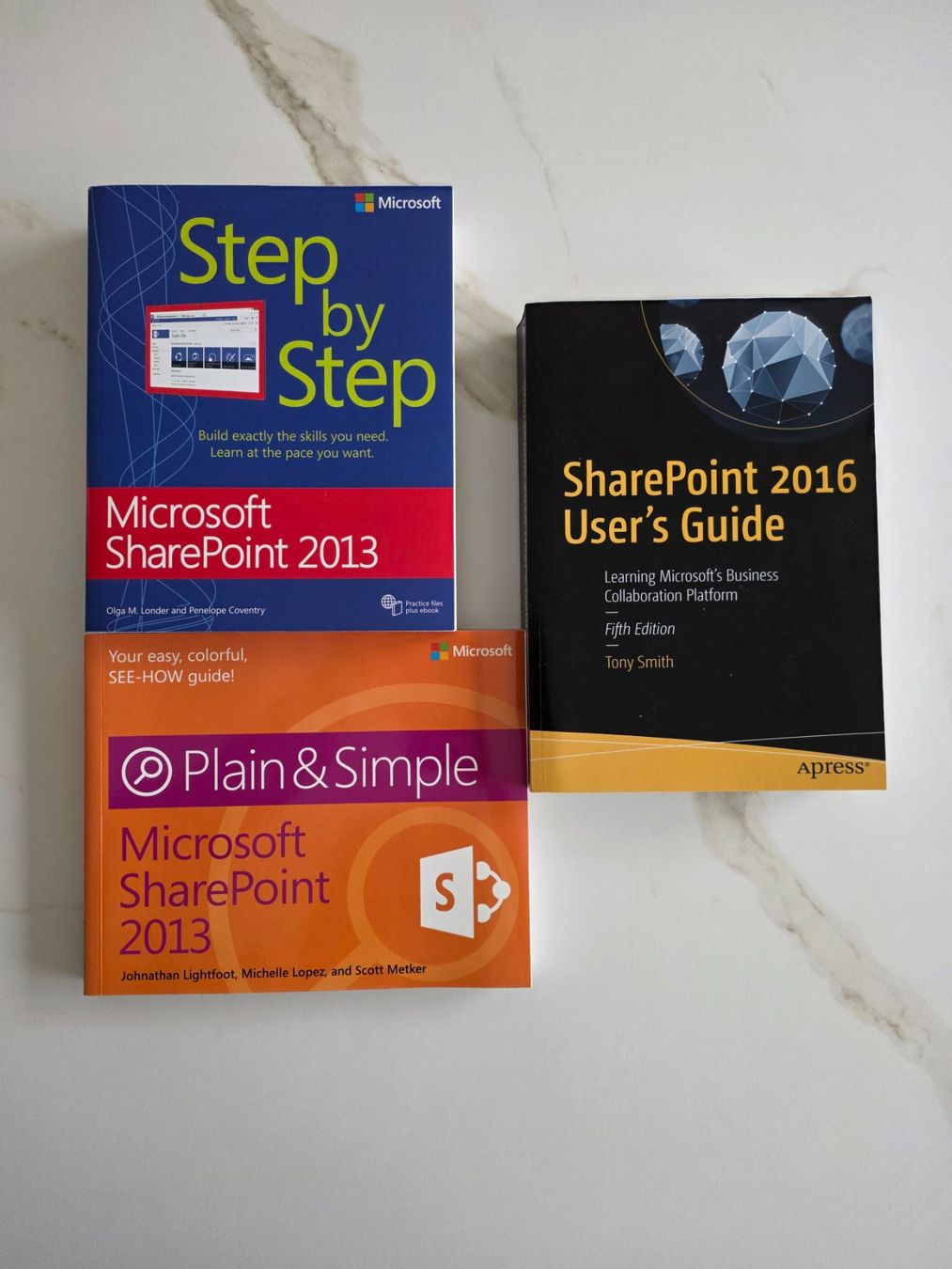 Libri: SharePoint 2013 and SharePoint 2016 Guide Books – Nuovo (secondo la descrizione) da Hergiswil NW venduto da luc_b5pz