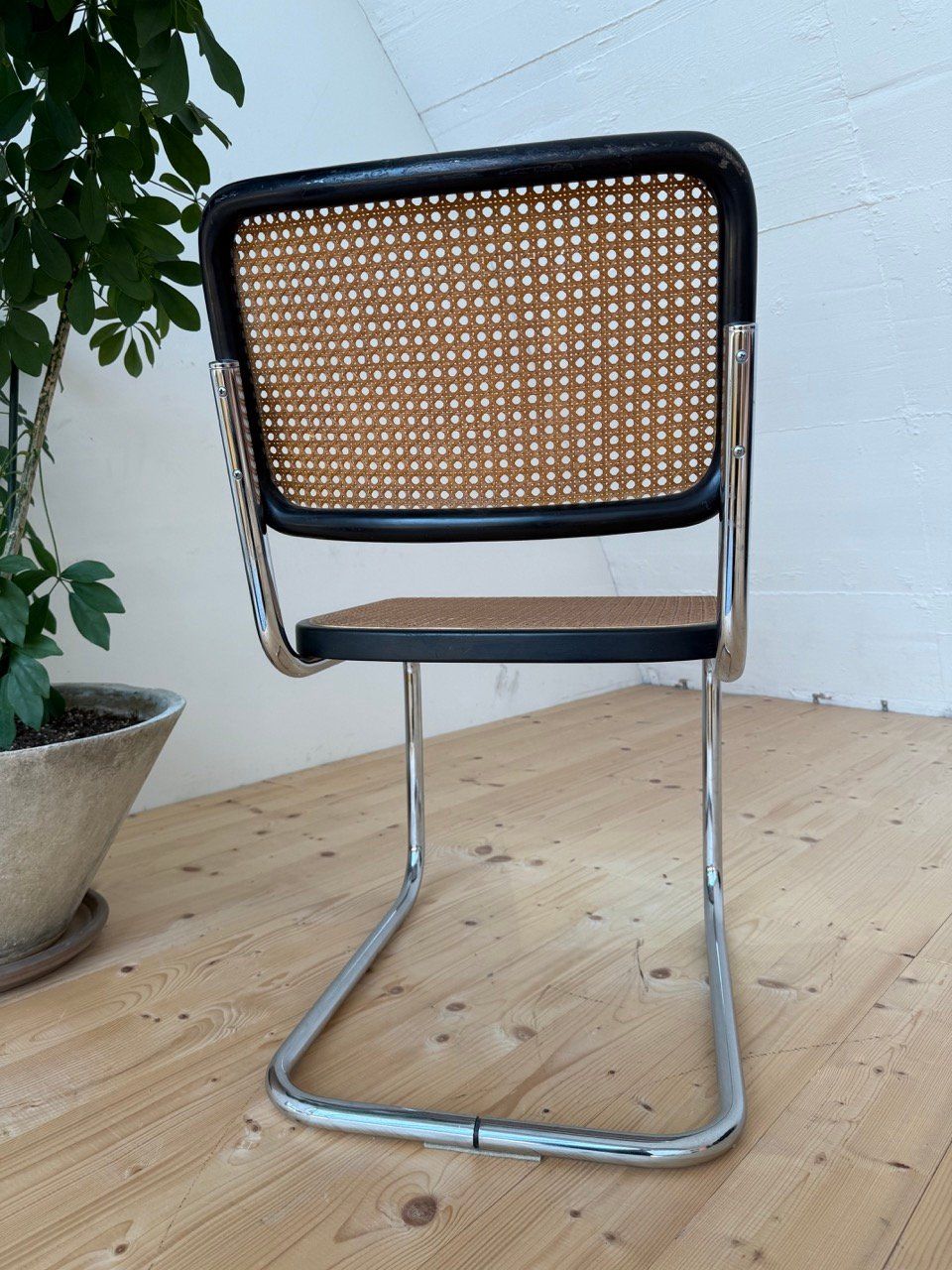 Thonet Sedie: Thonet Freischwinger – Usato da Bern venduto da Arka297 2