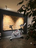 Kettler Ergo-Racer