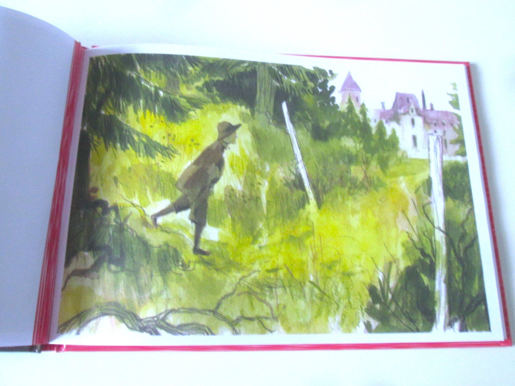 Livres: Il grande amico – D'occasion à Sementina par babucia 2