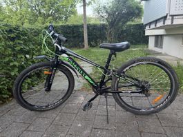 Velo 11.5"