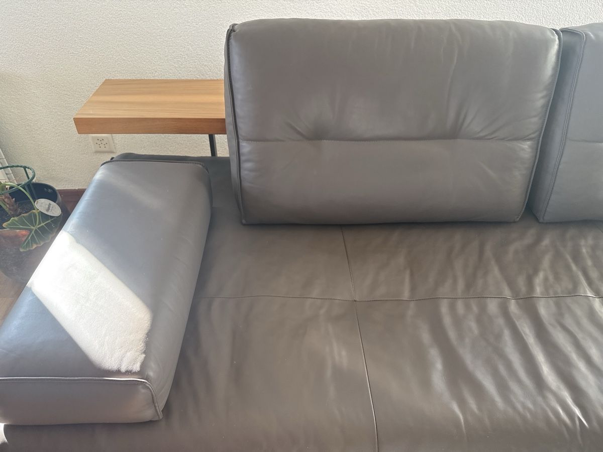 Divani: Rolf Benz Leder Sofa, Modell Dono – Usato da Dottikon venduto da chr_xy2n 3