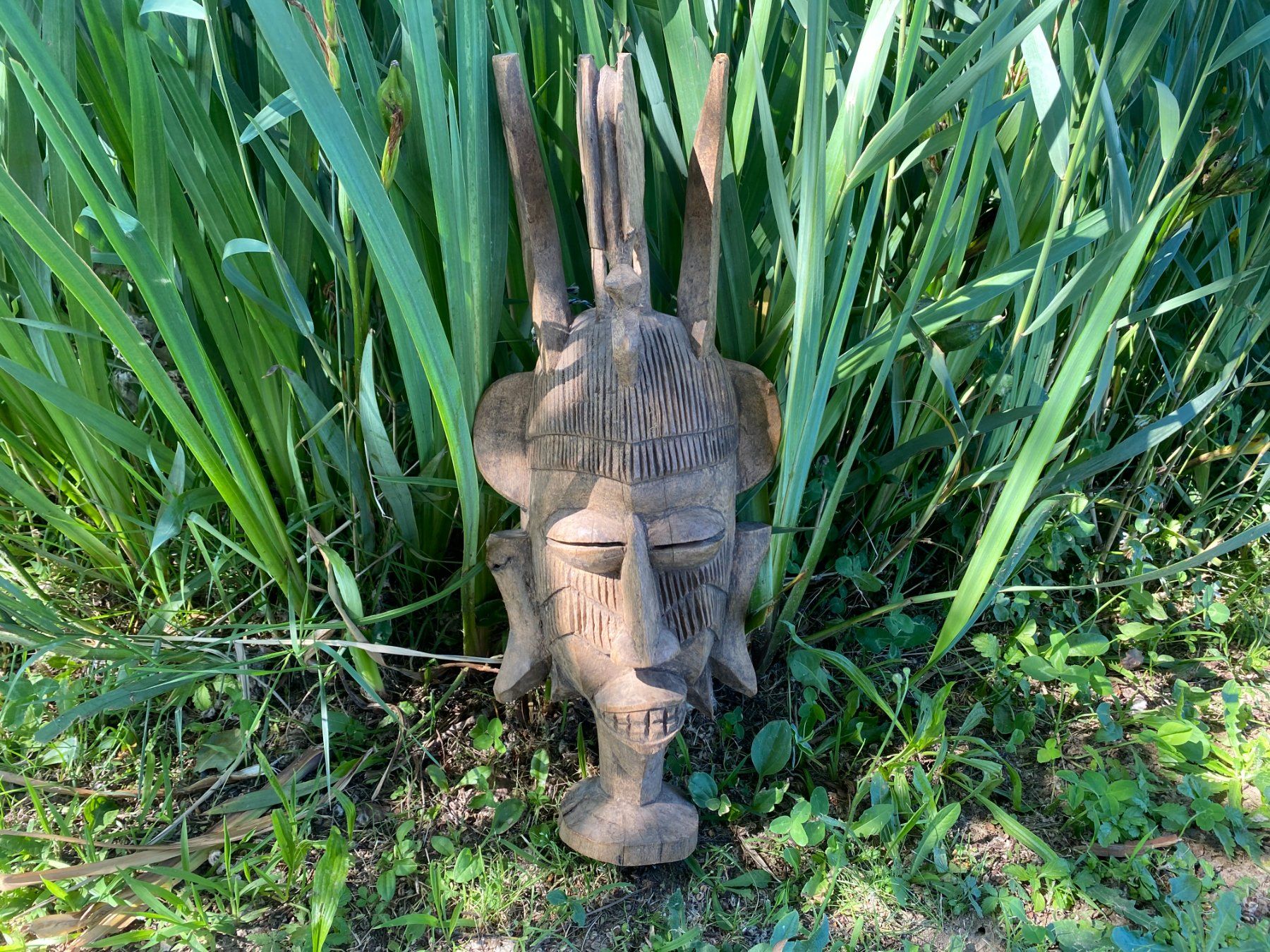 Internationale Kunst: Afrikanische Maske aus Holz 50x20x11cm – Gebraucht aus Vacallo von cri_229f 1