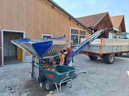 Obstsortieranlage / Förderband, Batterieelektrisch