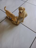 statuette di cani