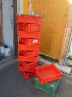 SSI Schäfer Stapelboxen rot gebraucht 12 Stück Set