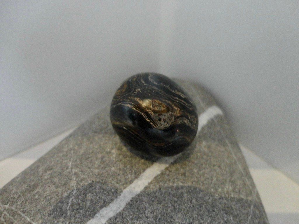 Mineralien & Heilsteine: Stromatolith Heilstein – Neu (gemäss Beschreibung) aus Biberist von Steine