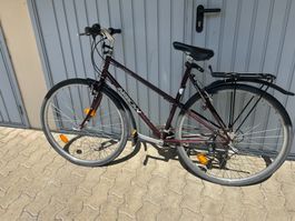 28 Zoll Arrow Herren Cıty Velo
