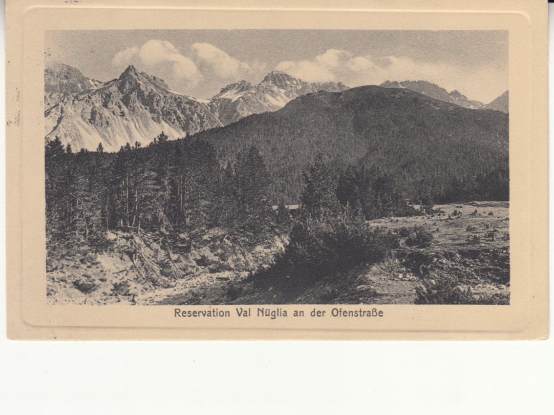 Cartoline postali: Val Nüglia 1914 – Usato da Bürglen TG venduto da StampGraf