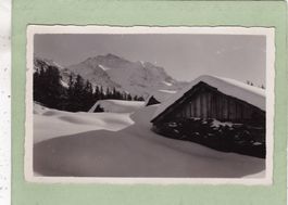 Bei Wengen Jungfrau 1931