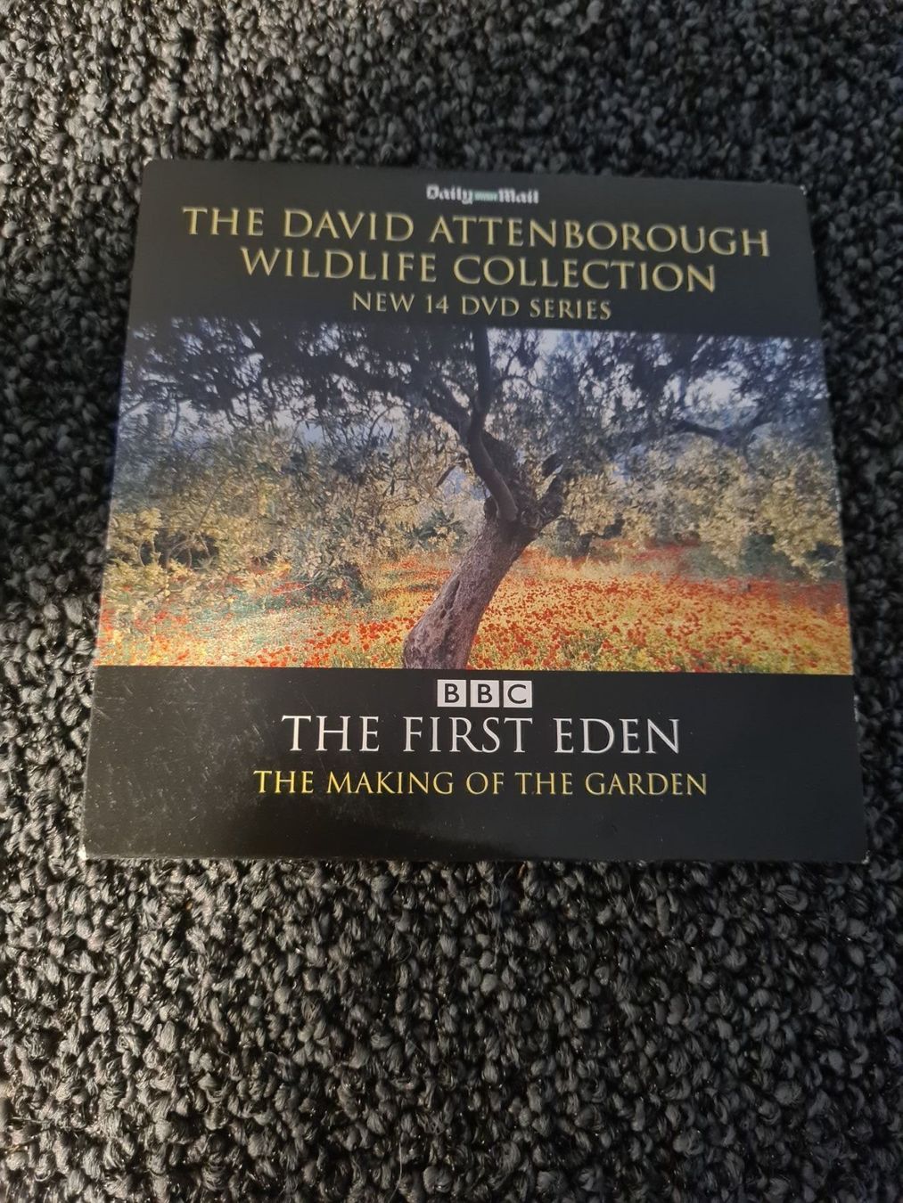 Tutti i DVDs: THE FIRST EDEN – Usato da Ruswil venduto da jan_bxl5
