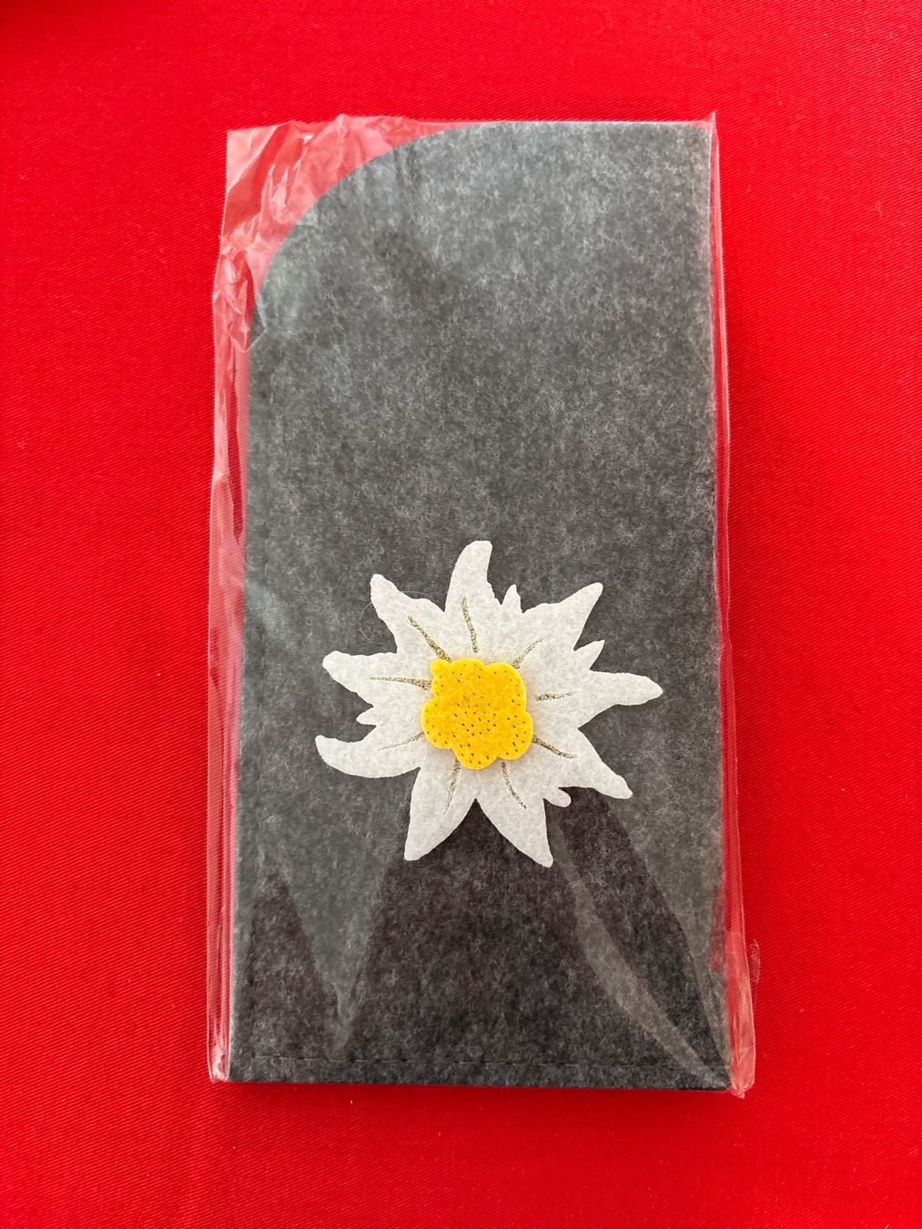 Altro in  Abbigliamento & Accessori: Brillenetui NEU – Nuovo e nell'imballaggio originale da Luzern venduto da Sontru
