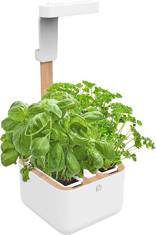 Autres: Véritable Botaneo Eylo - potager de cuisine – D'occasion à Bottens par sundea