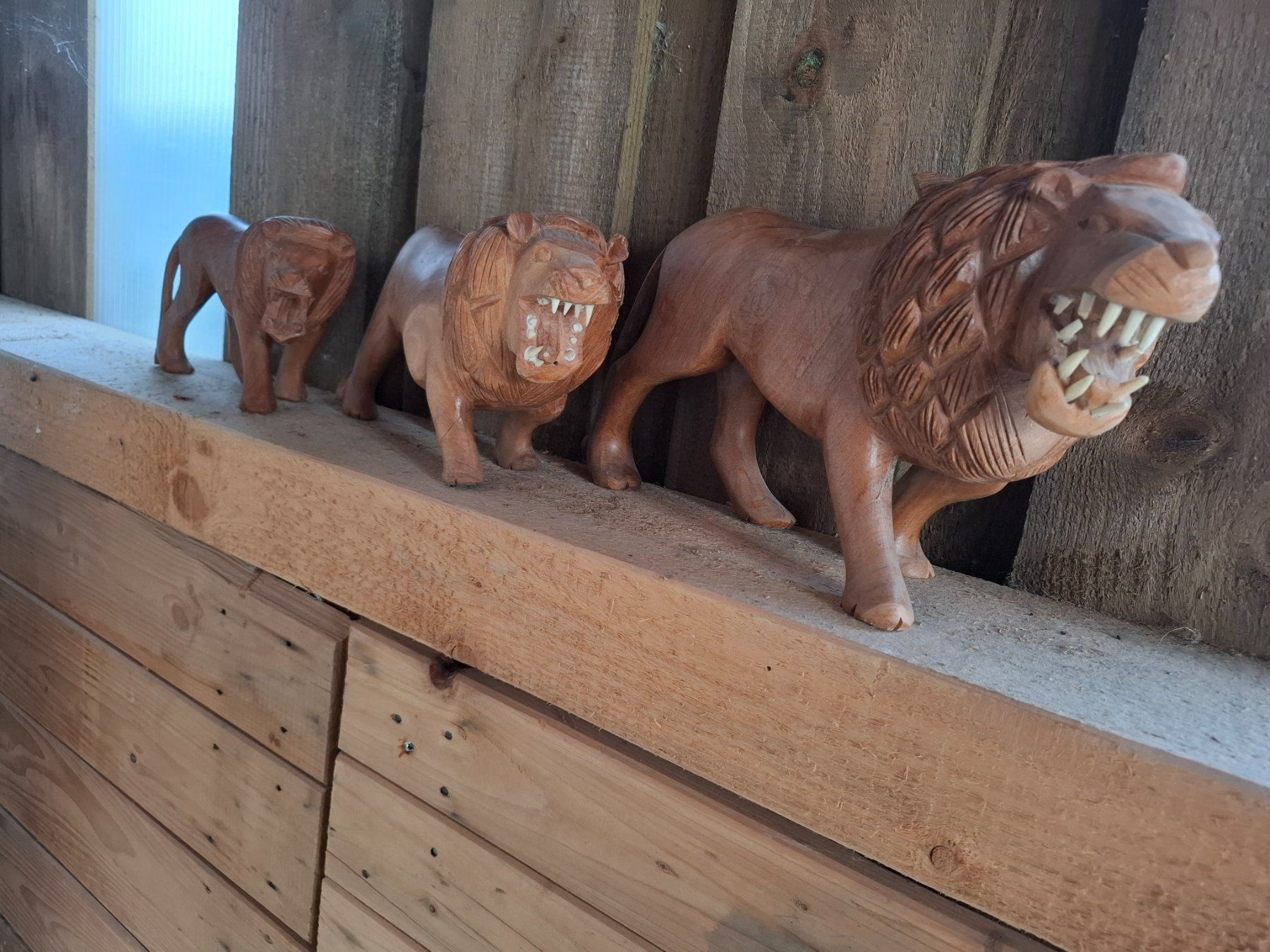Skulpturen & Statuen: Holz/Löwe geschnitzt drei Stück – Gebraucht aus Steg im Tösstal von LARO14 8
