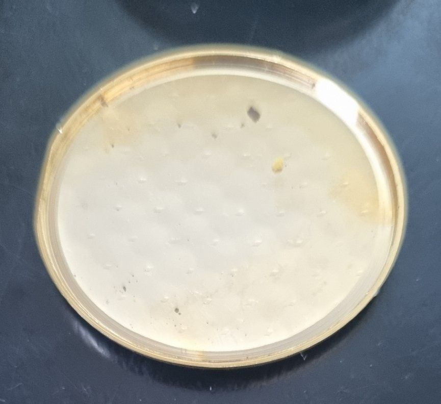 Orologi: Taschenuhr EXACTA  ANTIMAGNETIC Goldfarbend – Usato da Flums venduto da Flumsantik 4