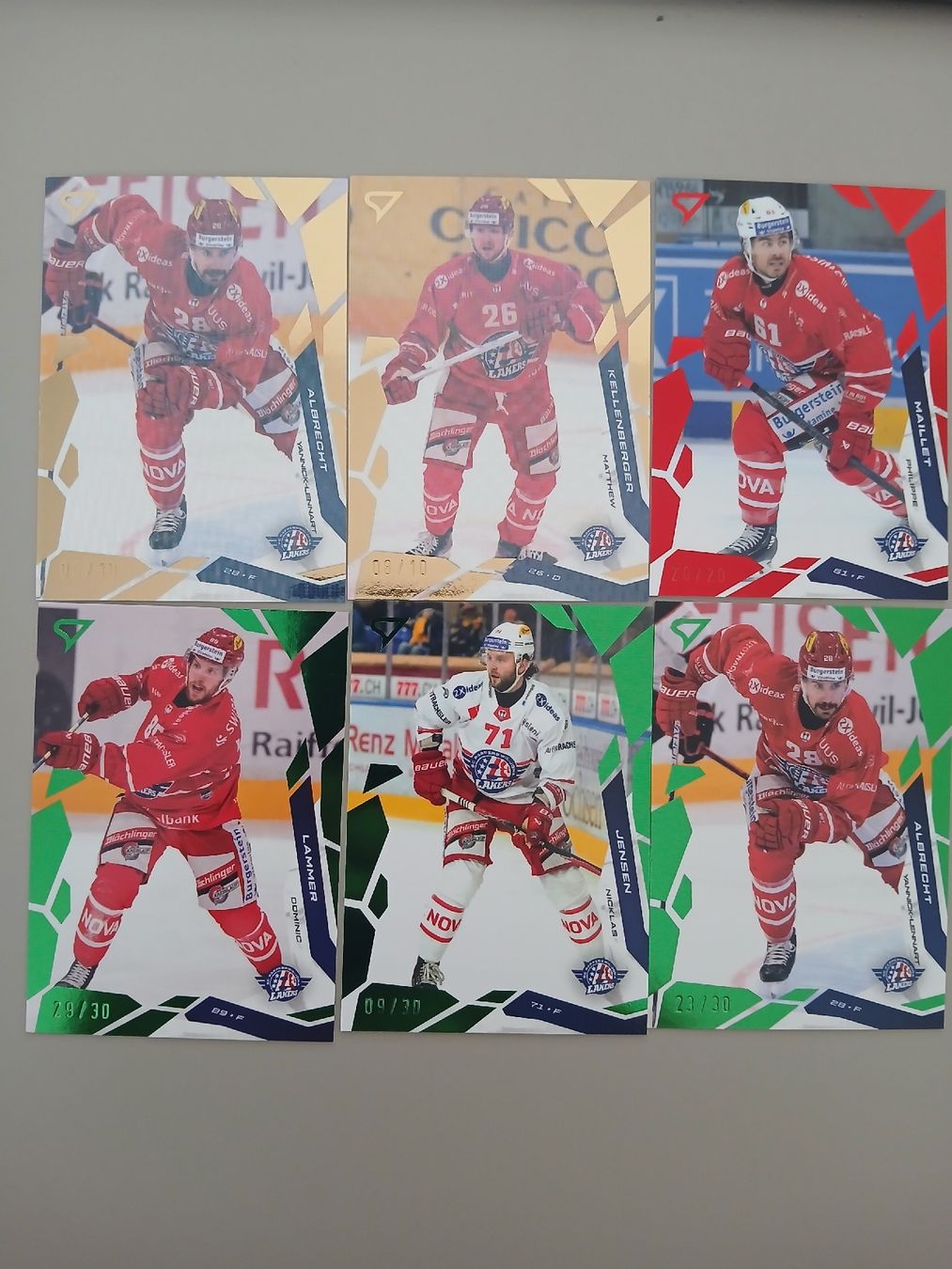 Sportzoo Cartes à collectionner: Diverse Rapperswil Karten 25/26 – Neuf (Voir description) à Düdingen par oliheimo92