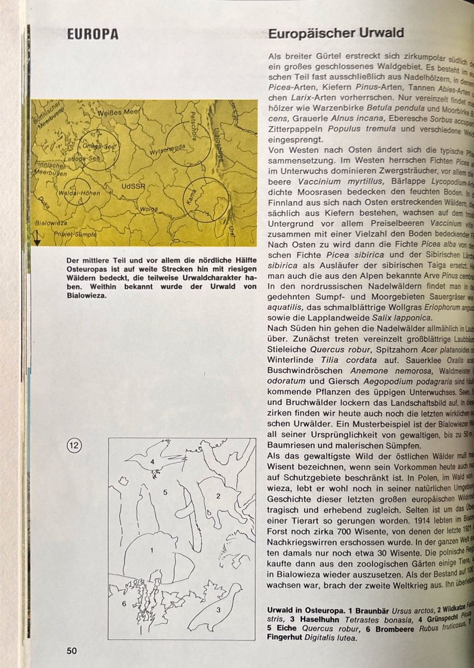 Libri: Was lebt wo auf dieser Erde – Nuovo (secondo la descrizione) da Sarnen venduto da Livres 7