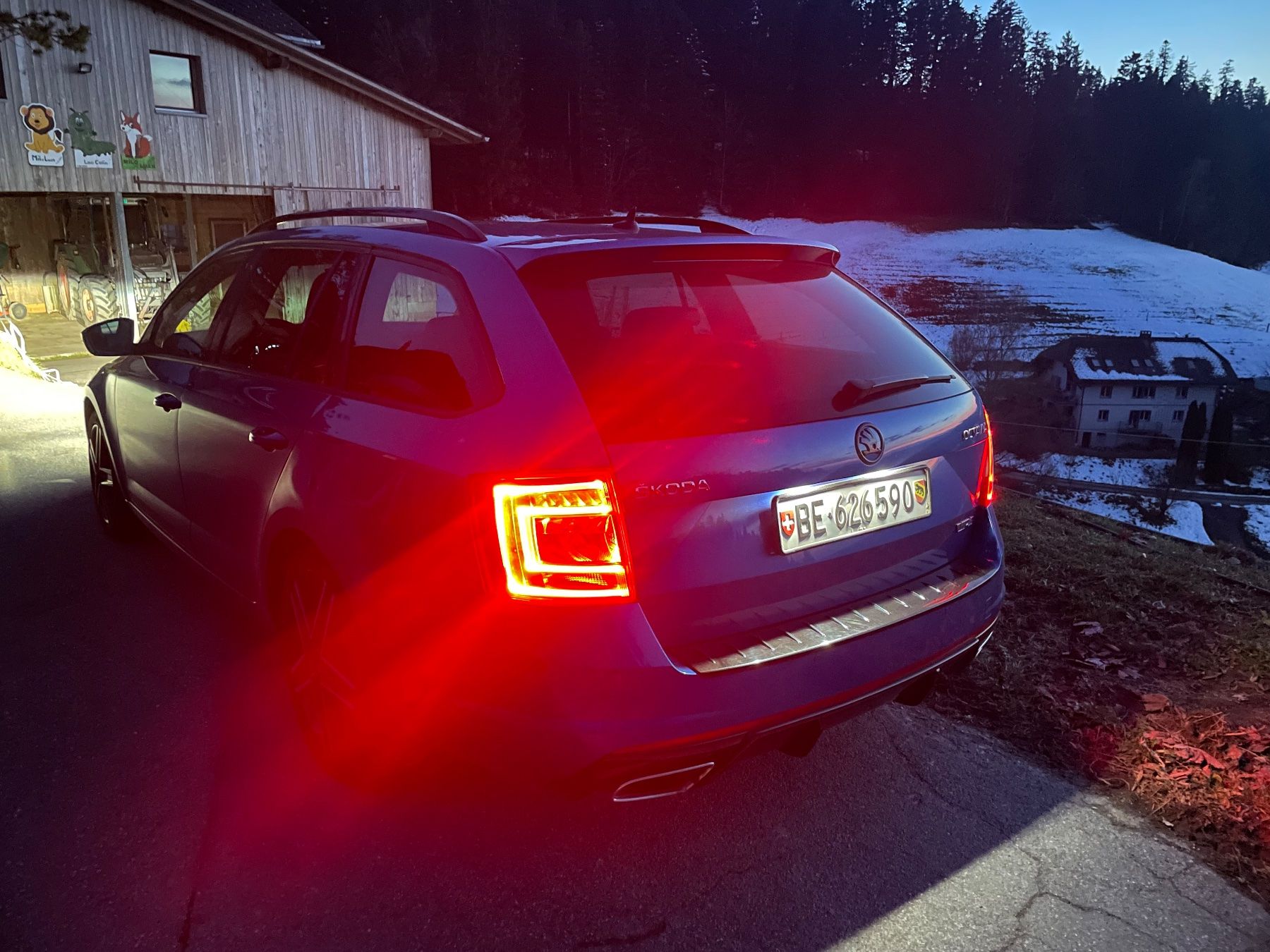 Skoda Automobili: Gepflegter Skoda Octavia RS – Usato da Lauperswil venduto da lee2011 7