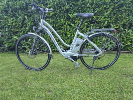 Flyer E-Bike 45 km/h