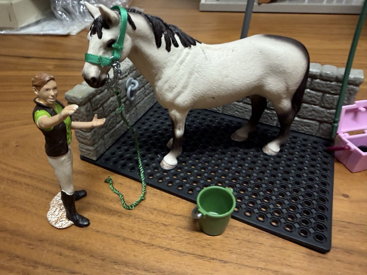 Schleich Giocattoli: Schleich Pferdedusche mit Zubehör  – Usato da Uerikon venduto da MiBreStaef2023 2