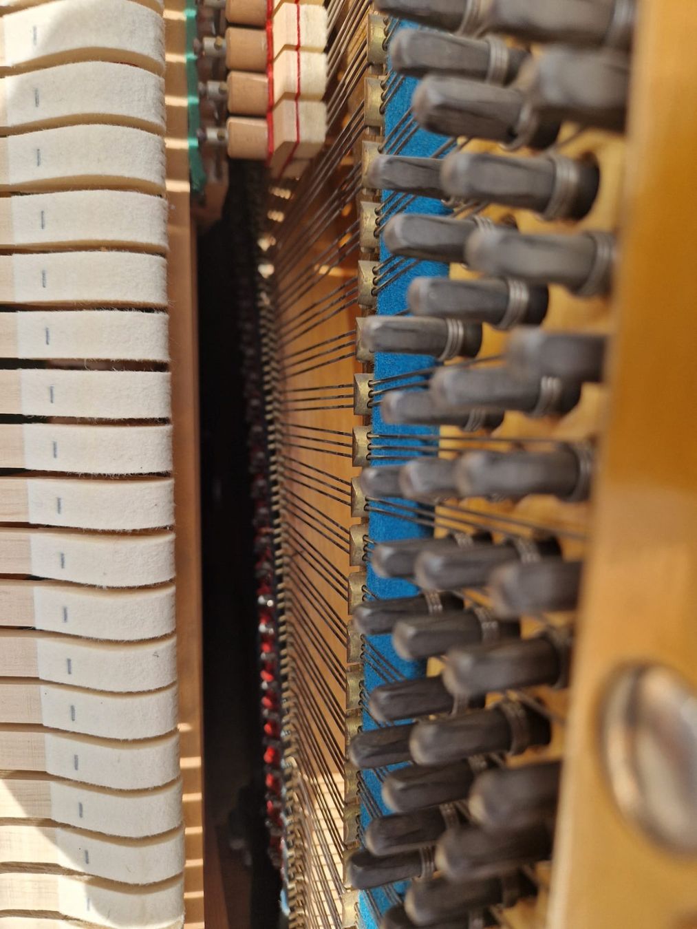 Strumenti musicali: C. Bechstein Klavier - Berlin, - Ref. 08/26 – Usato da Au ZH venduto da BrockiAu 7