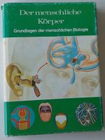 Der Menschliche Körper
