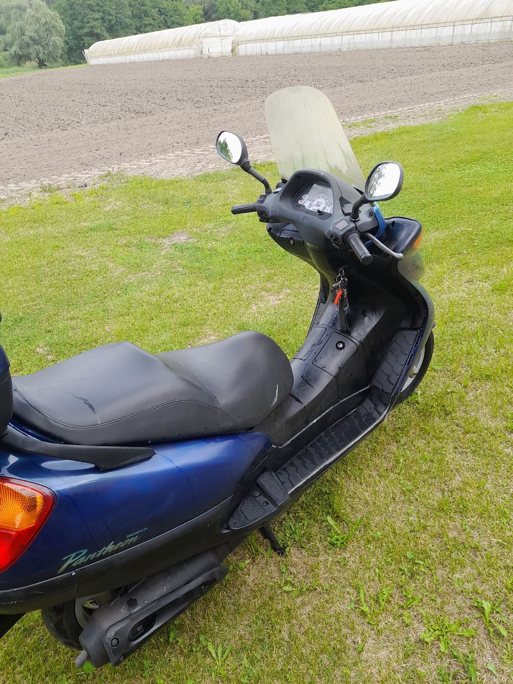 Honda Scooters: honda – D'occasion à Riazzino par tessiner03 1