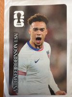Panini ANTONEE ROBINSON (USA)