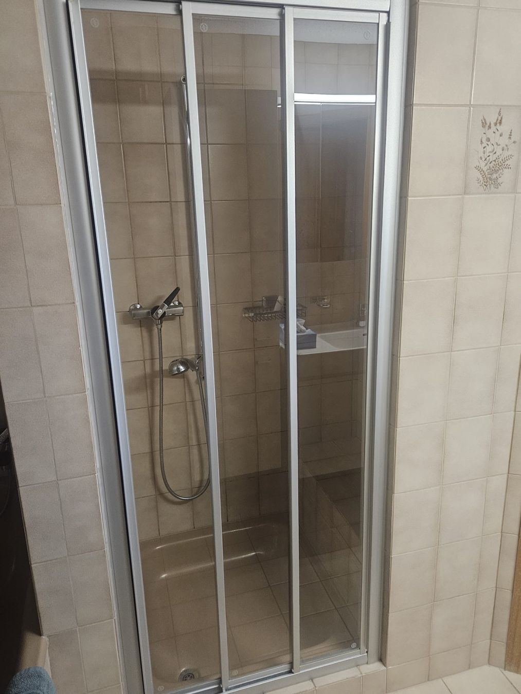 Paravents: Duschwand dreiteilig alu/glas – Gebraucht aus Appenzell Steinegg von Manuela09A