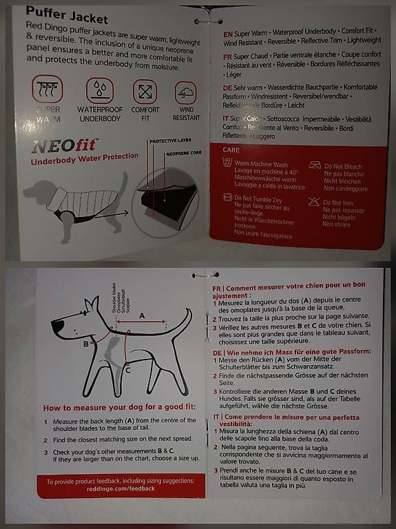 Abbigliamento: Gr 25 Wintermantel Hund klein  – Usato da Hallwil venduto da Ursina83 2
