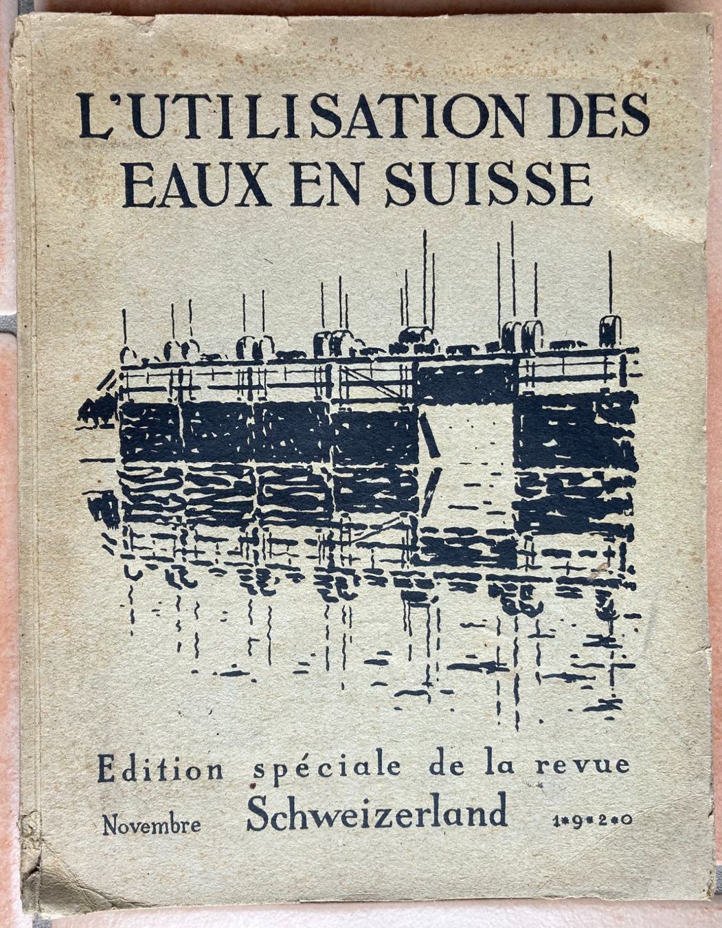 Libri: L'utilisation des eaux en Suisse. 1920 – Usato da Versoix venduto da HELVETICA_1