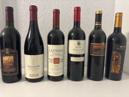 Amarone + Brunello + Vintage Rotweine 🍷 6 Flaschen Konvolut