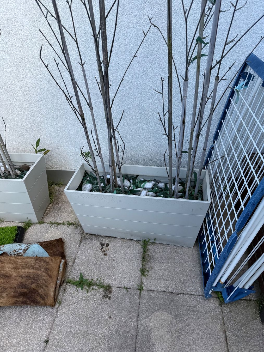 Blumentöpfe: Töpfe – Gebraucht aus Glattpark(Opfikon) von dav_prl7 4