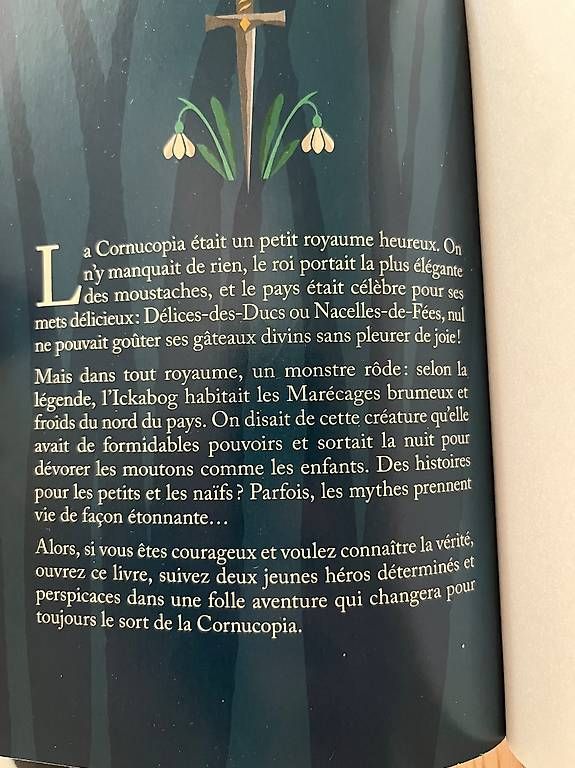 Libri: L'Ickabog  – Usato da Champagne venduto da Marie2108 2