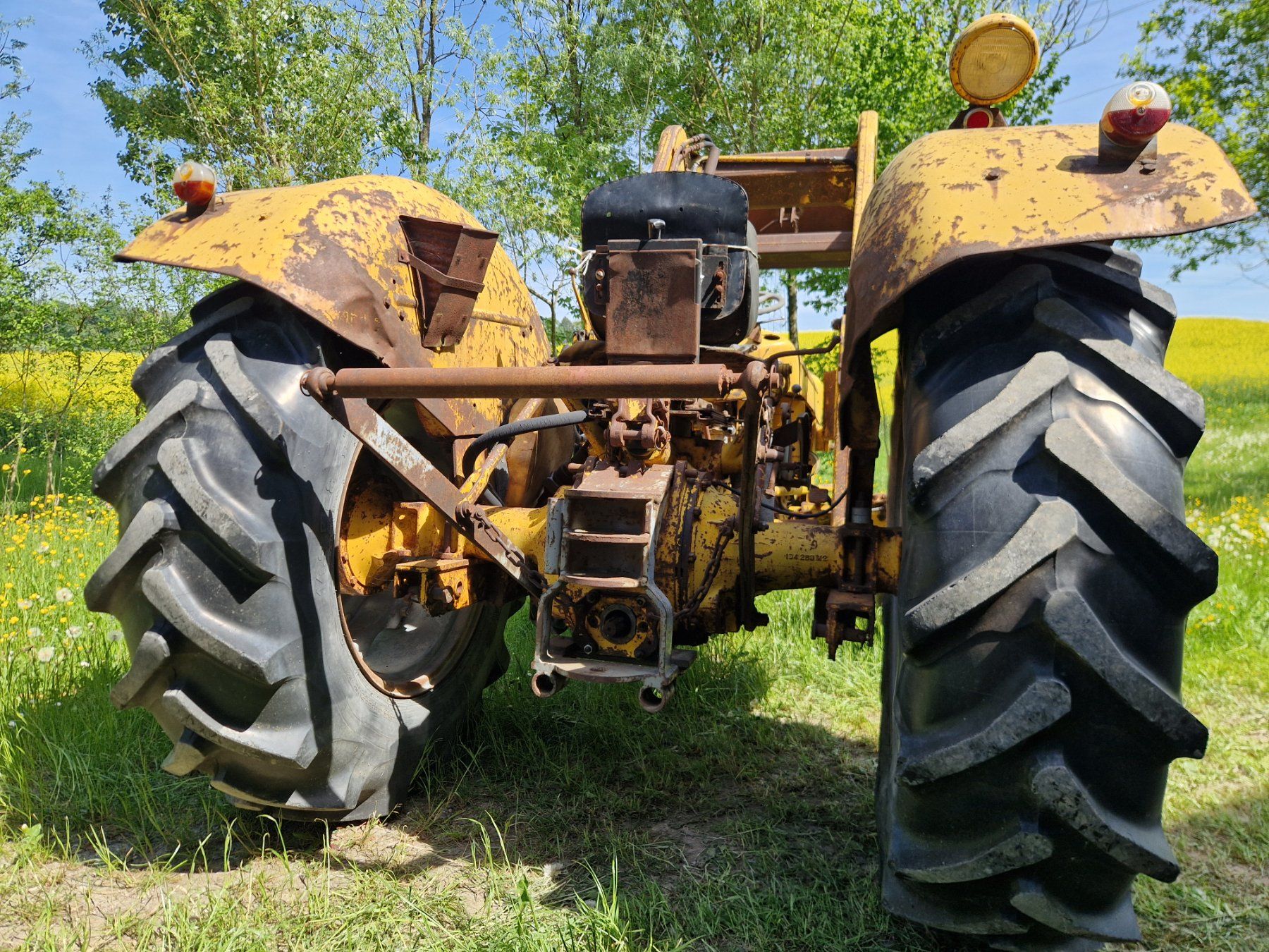 Massey Ferguson Tracteurs: Massey Ferguson 203 – D'occasion à Rain par BurkartLandmaschinen 2