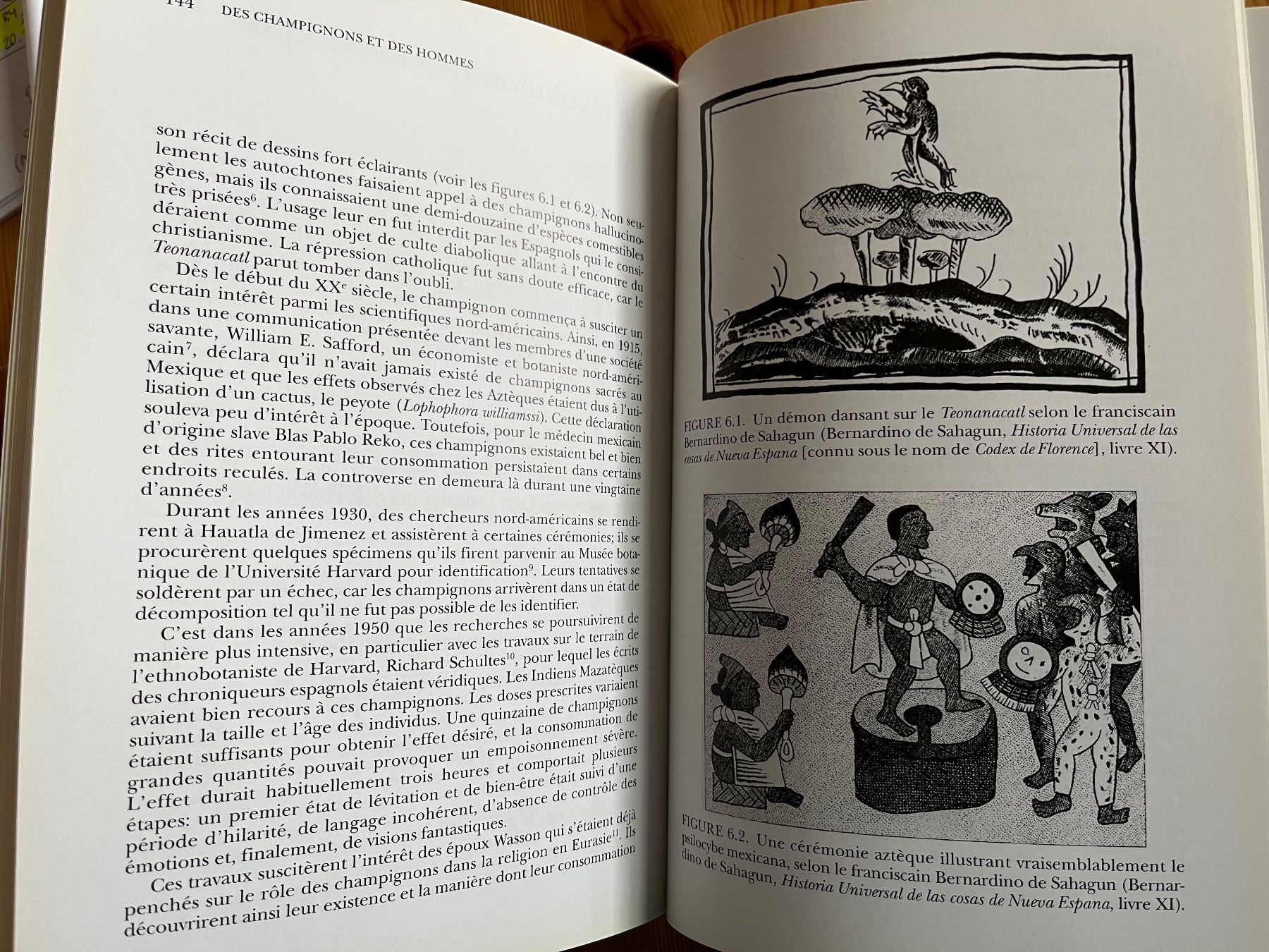 Libri: Des champignons et des hommes – Nuovo (secondo la descrizione) da Zürich venduto da Gurkis 6