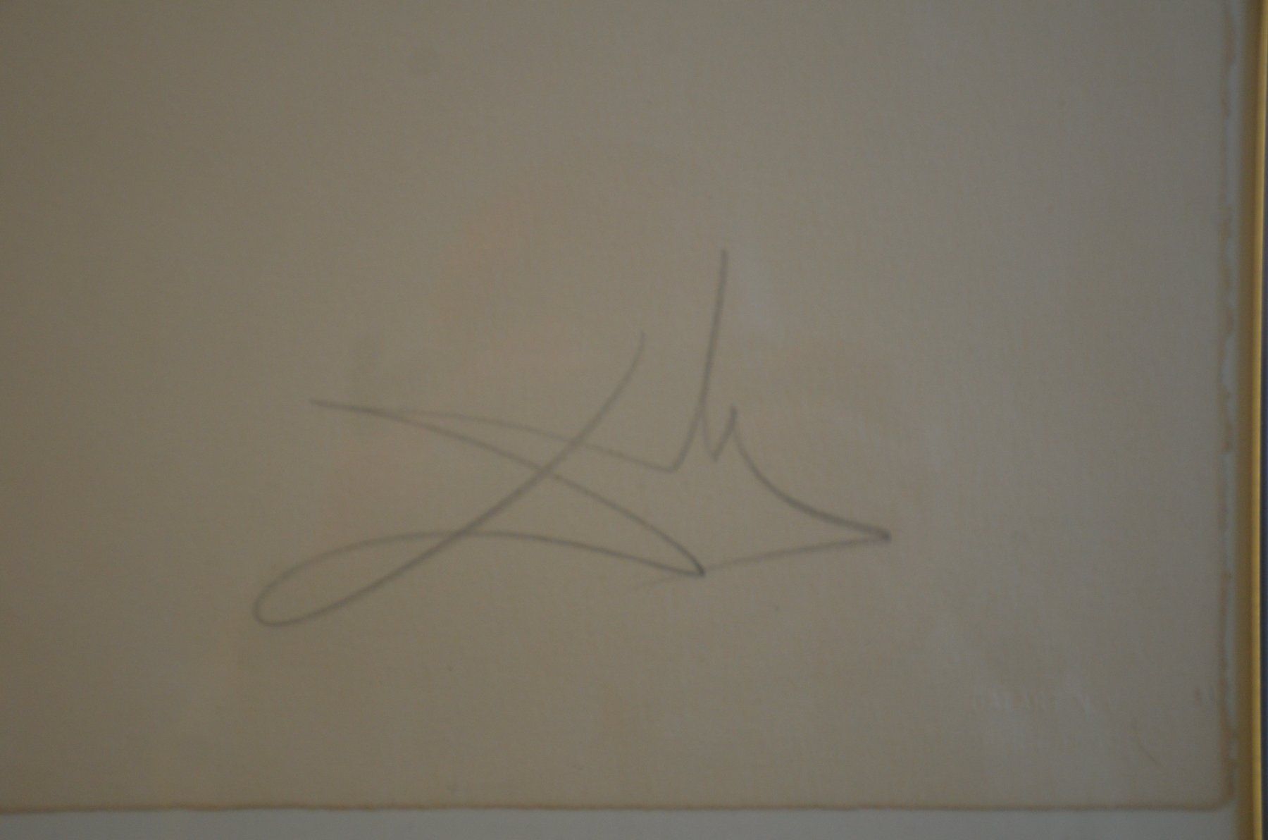 Grafica & Litografie: Original Lithographie Salvador Dali, 1980 – Usato da Kilchberg ZH venduto da Sho5000 4
