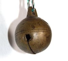 Rollschelle , Umfang ca.10 cm. Höhe ca. 4 cm