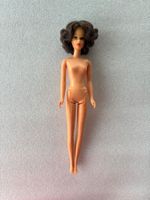 Vintage Mattel 1960s #1170 FRANCIE TNT Brunette Flip