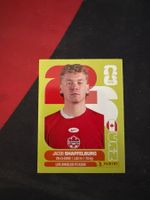 Panini FIFA WM 2026 Sticker - CAN 14