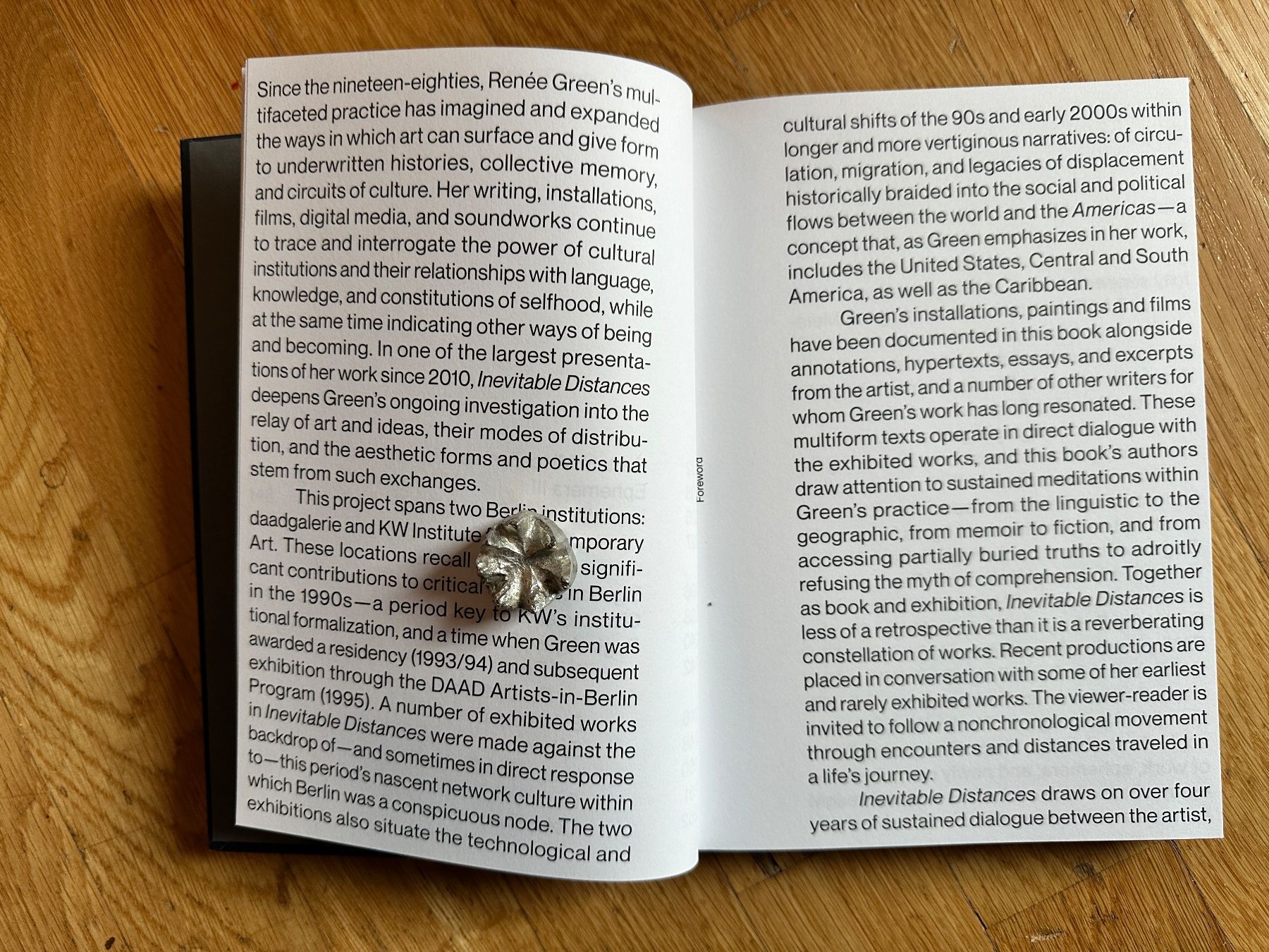 Libri: Renée Green: Inevitable Distances. – Usato da Zürich venduto da allp 4