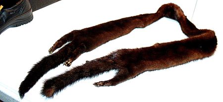 Pelz Schal (Nerz)