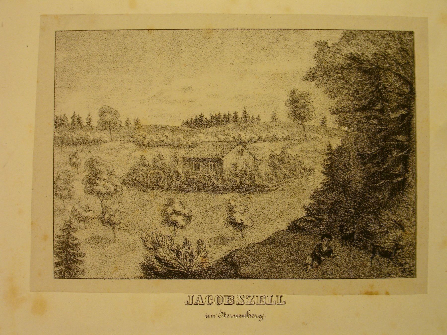 Grafica & Litografie: JACOBSZELL IM STERNENBERG, LITHO UM 1850 – Usato da Grüningen venduto da Kartensammler