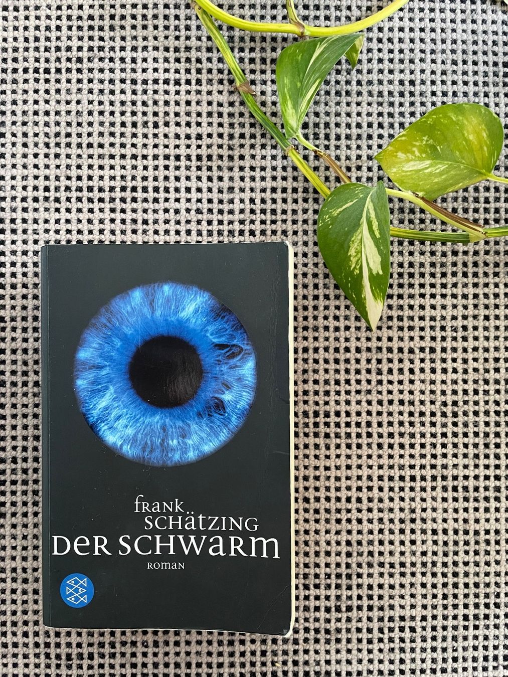 Bücher: Der Schwarm von Frank Schätzing – Gebraucht aus Wettingen von