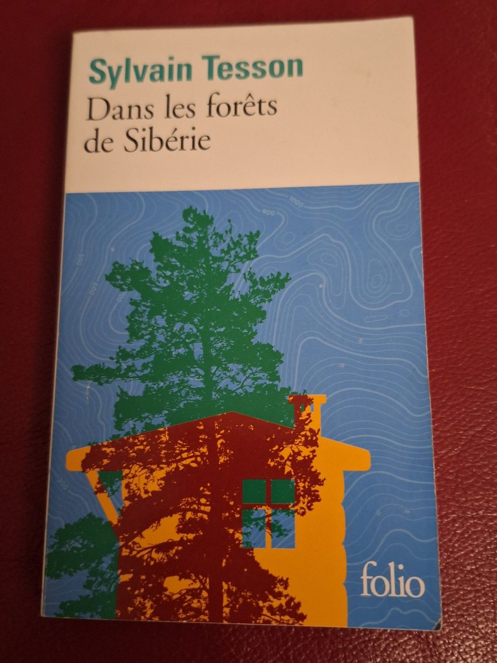 Bücher: Sylvain Tesson "dans les forets de Siberie" – Gebraucht aus Hedingen von Rosie013