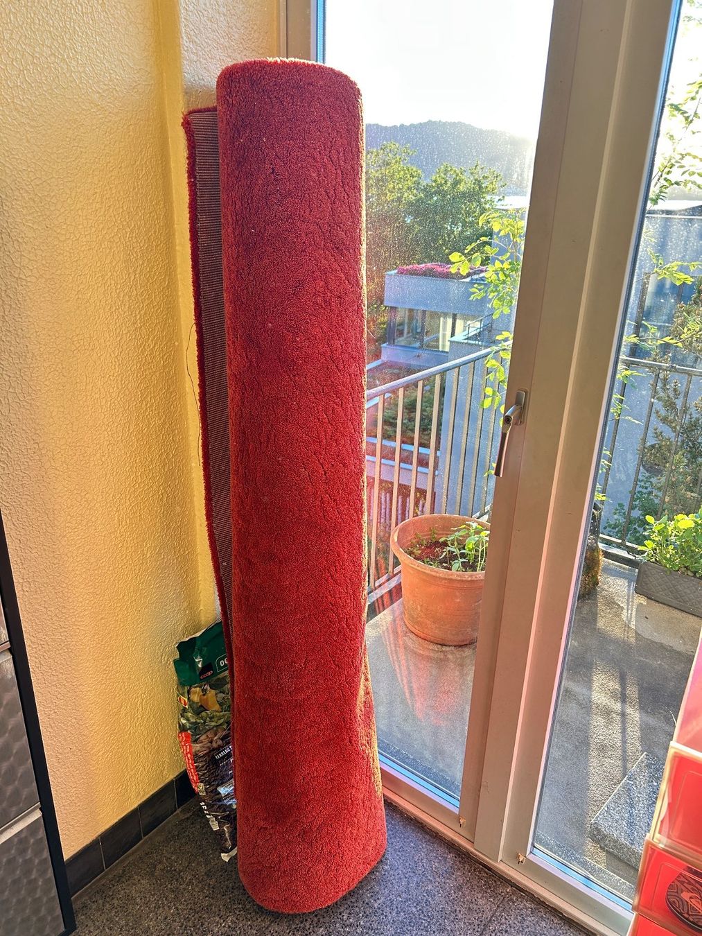 Tappeti: Roter Teppich, gebraucht, 160x230cm – Usato da Zollikon venduto da YvonneAchermann