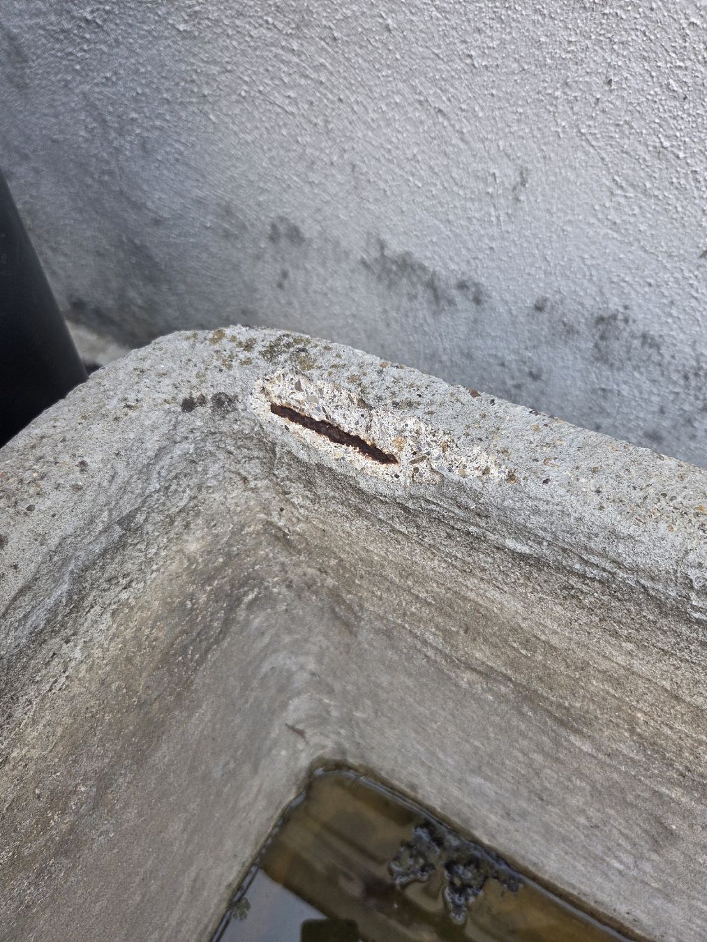Stagni & Fontane ornamentali: Beton Trog- Alter Brunnen – Usato da Oberhasli venduto da General-Dealer 4