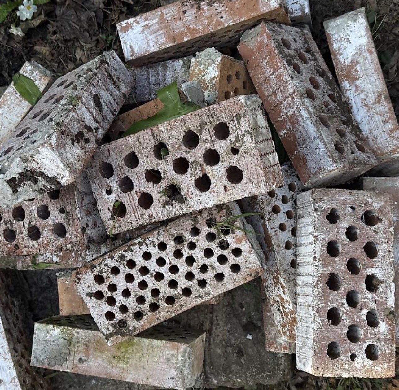 Pietre & tegole: Backstein/ bricks ( pro Stück Preis ) – Usato da Bern venduto da mystyle_bern 2