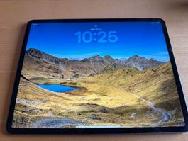 Apple iPad Pro 12,9” (4e génération) 256 Go Wi-Fi + Cellular
