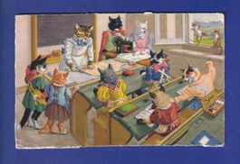 CHAT - Chats humanisés
